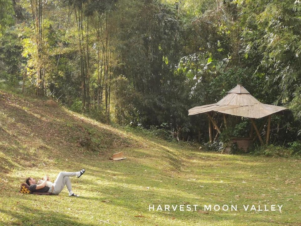 Harvest Moon Valley Ban Pang Luang Екстериор снимка
